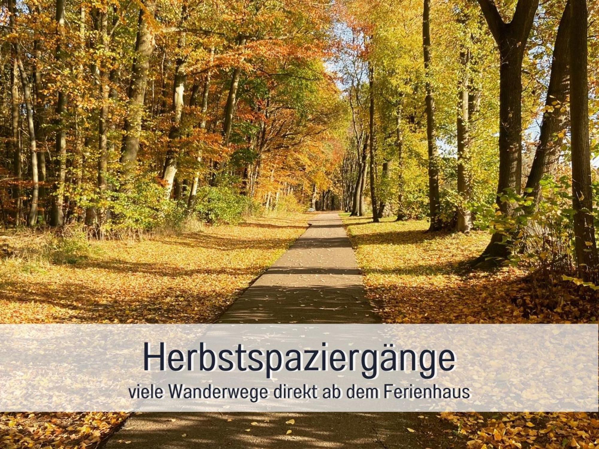 Strandhaus Mathea - Ruhige Lage Direkt Am Fleesensee - Parkplatz, Kamin, Sauna - Familienfreundlich Unter Gohren Exterior photo